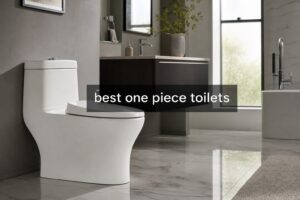 best one piece toilets