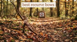 best recurve bows