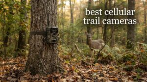 best cellular trail cameras