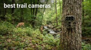 best trail cameras