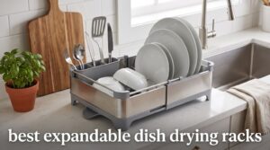 best expandable dish drying racks