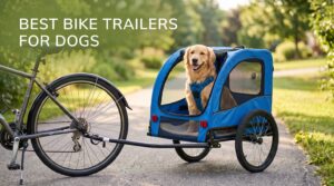 best bike trailers for dogs