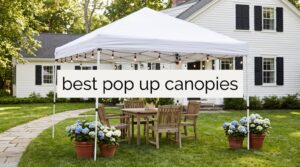 best pop up canopies