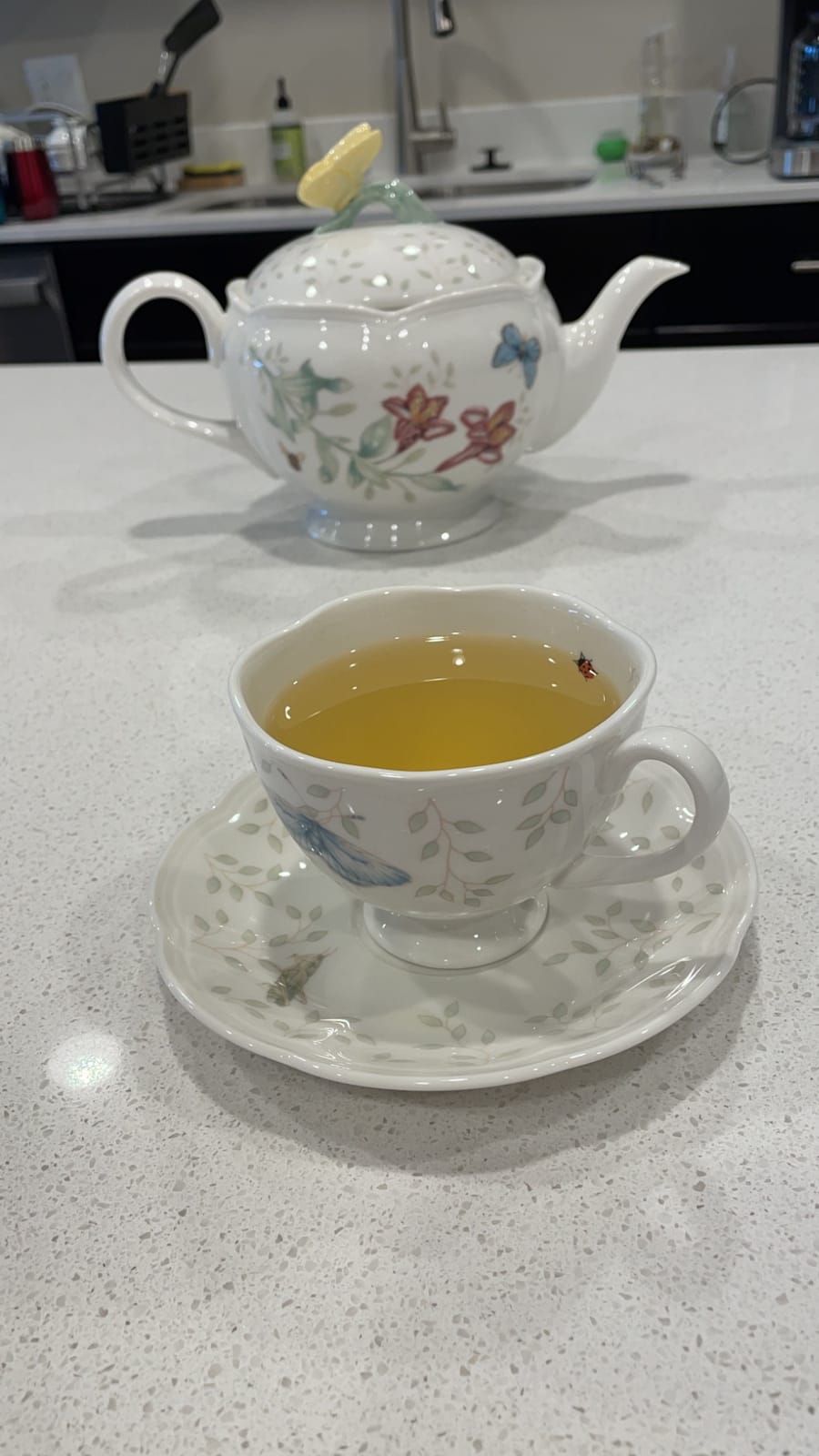 Lenox Butterfly Meadow Porcelain Teapot and Tea Cup Set, 9-Piece, 48oz | dishwasher safe | includes creamer, sugar bowl, 2 teacups, 2 saucers | floral tea party gift | 48oz, gift for women customer photo 2
