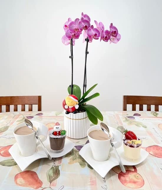 Villeroy & Boch NewWave Caffe Mugs, Set of 2, Premium Porcelain, Made in Germany, 11 ozs customer photo 1