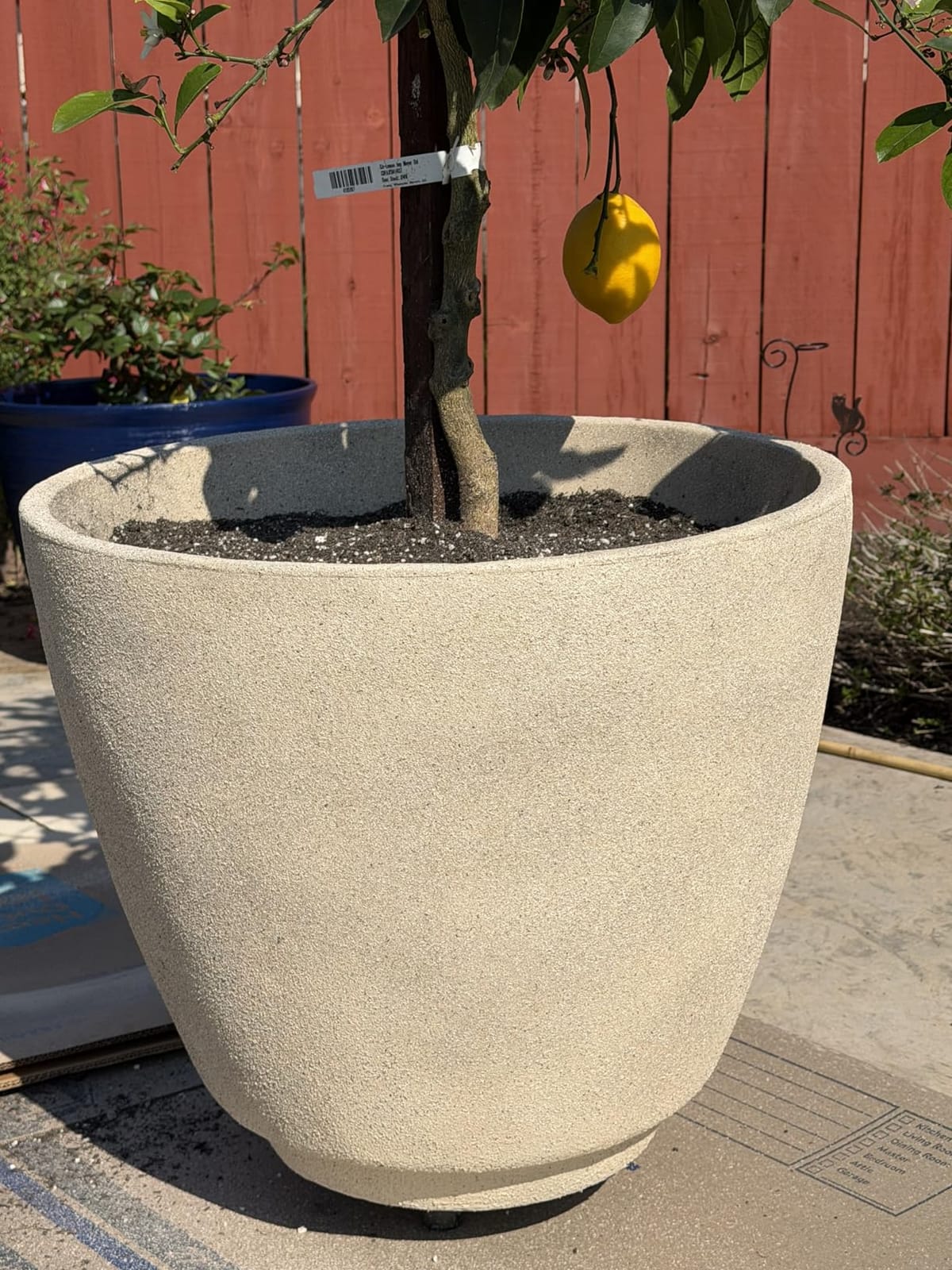 Krylon Coarse Stone Textured Finish, White Onyx, 12 oz customer photo 2