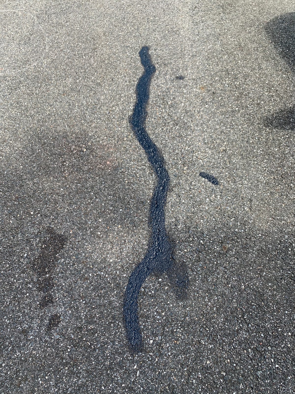 Driveway Elastomeric Emulsion Crack Filler customer photo 1