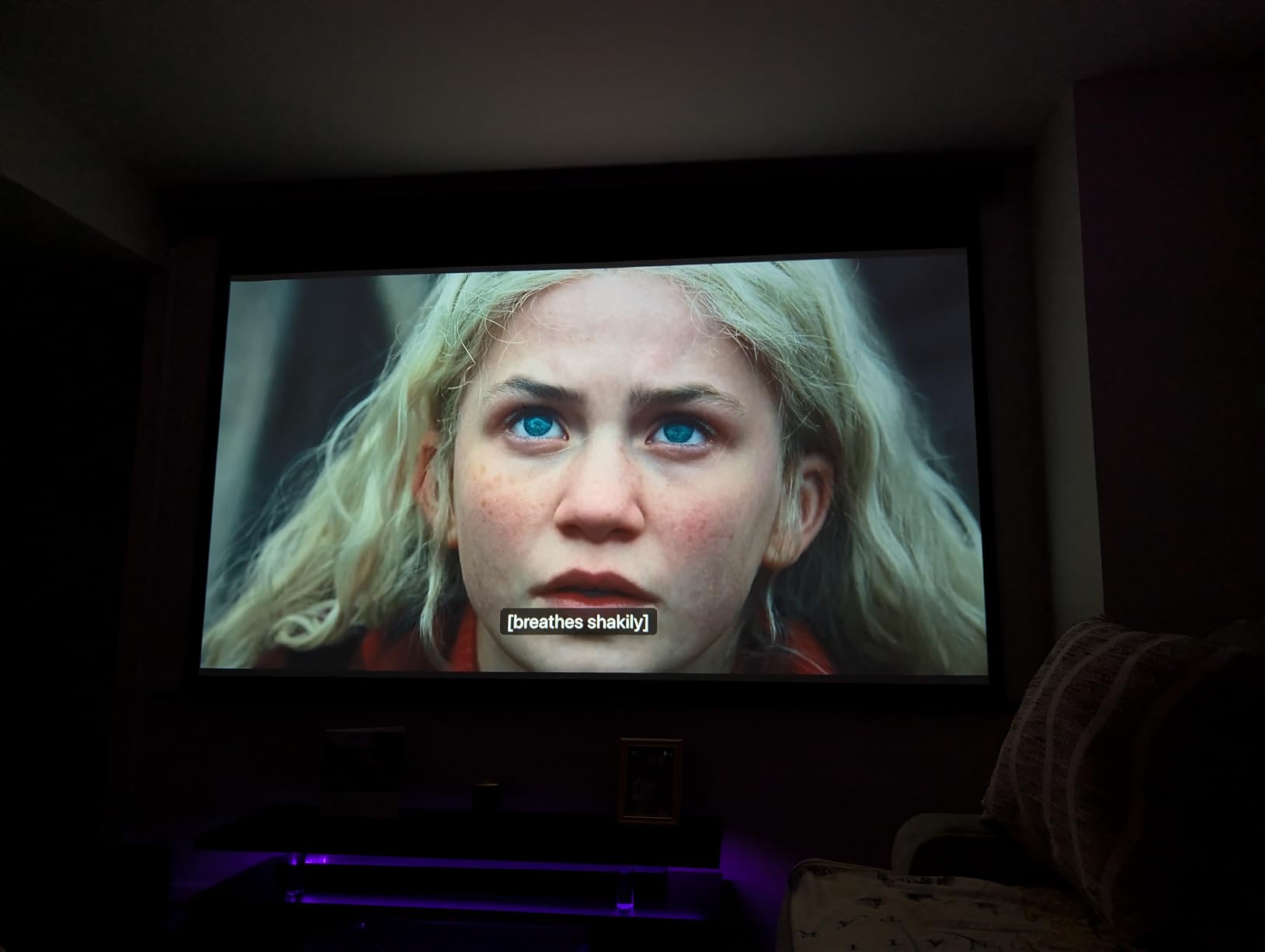 Elite Screens Spectrum 120-Inch 4:3 Electric Motorized Projector Screen, 4K/8K Ultra HD Ready, Home Theater, Classroom & Office, White Case, ELECTRIC120V customer photo 2