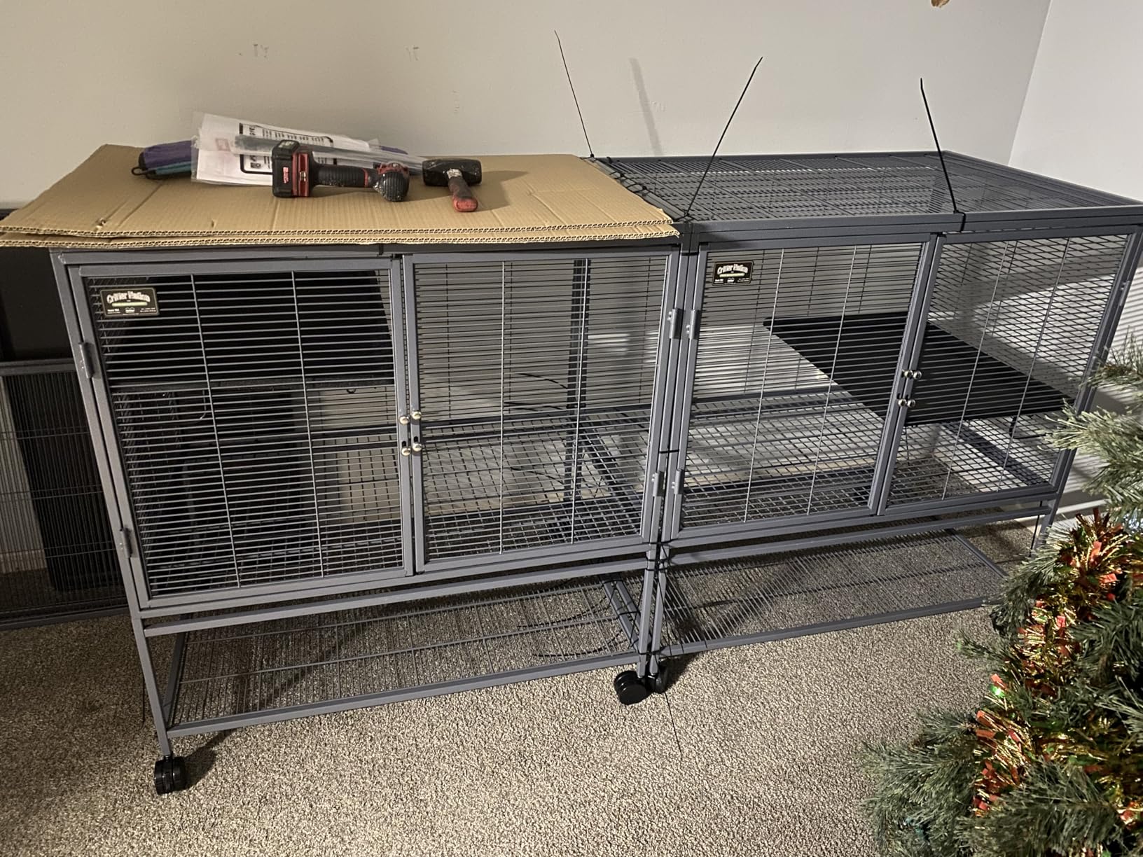 Critter Nation by MidWest Homes for Pets Single Unit Small Animal Cage, Habitat for Rats, Chinchillas, Ferrets, Sugar Gliders, Tool-Free Assembly, with Full-Width Doors, Shelf and Removable Base Pan customer photo 1