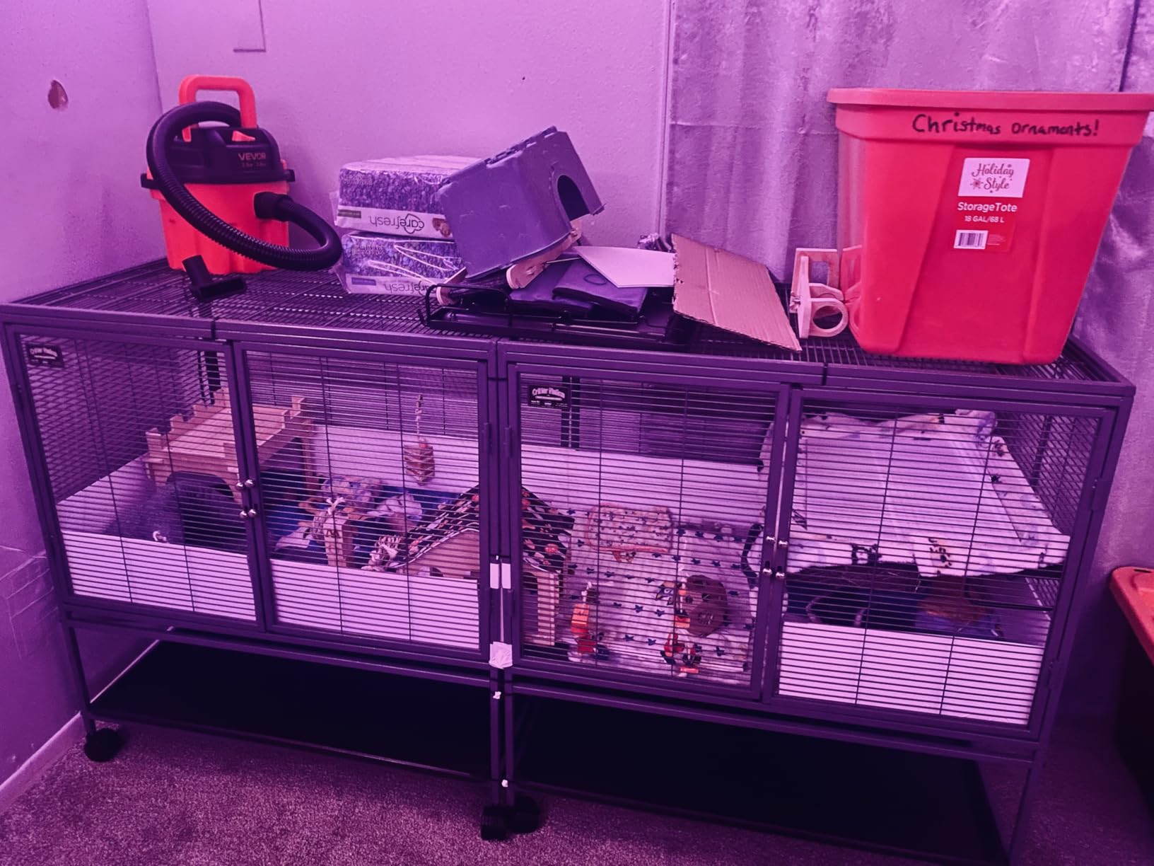Critter Nation by MidWest Homes for Pets Single Unit Small Animal Cage, Habitat for Rats, Chinchillas, Ferrets, Sugar Gliders, Tool-Free Assembly, with Full-Width Doors, Shelf and Removable Base Pan customer photo 2