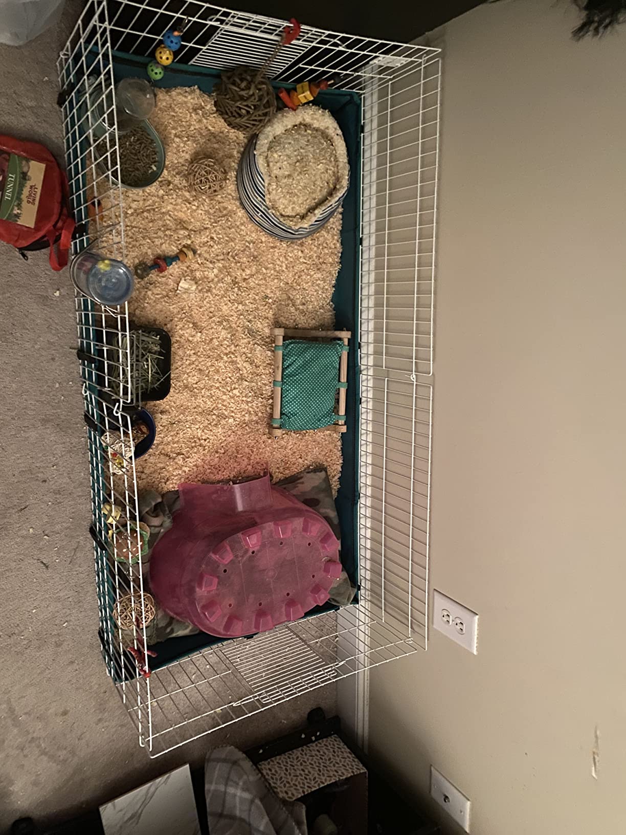 MidWest Homes for Pets Guinea Habitat Cage, Washable PVC Canvas Bottom, Secure Sides, Tool-Free Setup, Expandable Small Animal Cage for Guinea Pigs, 171GH customer photo 2