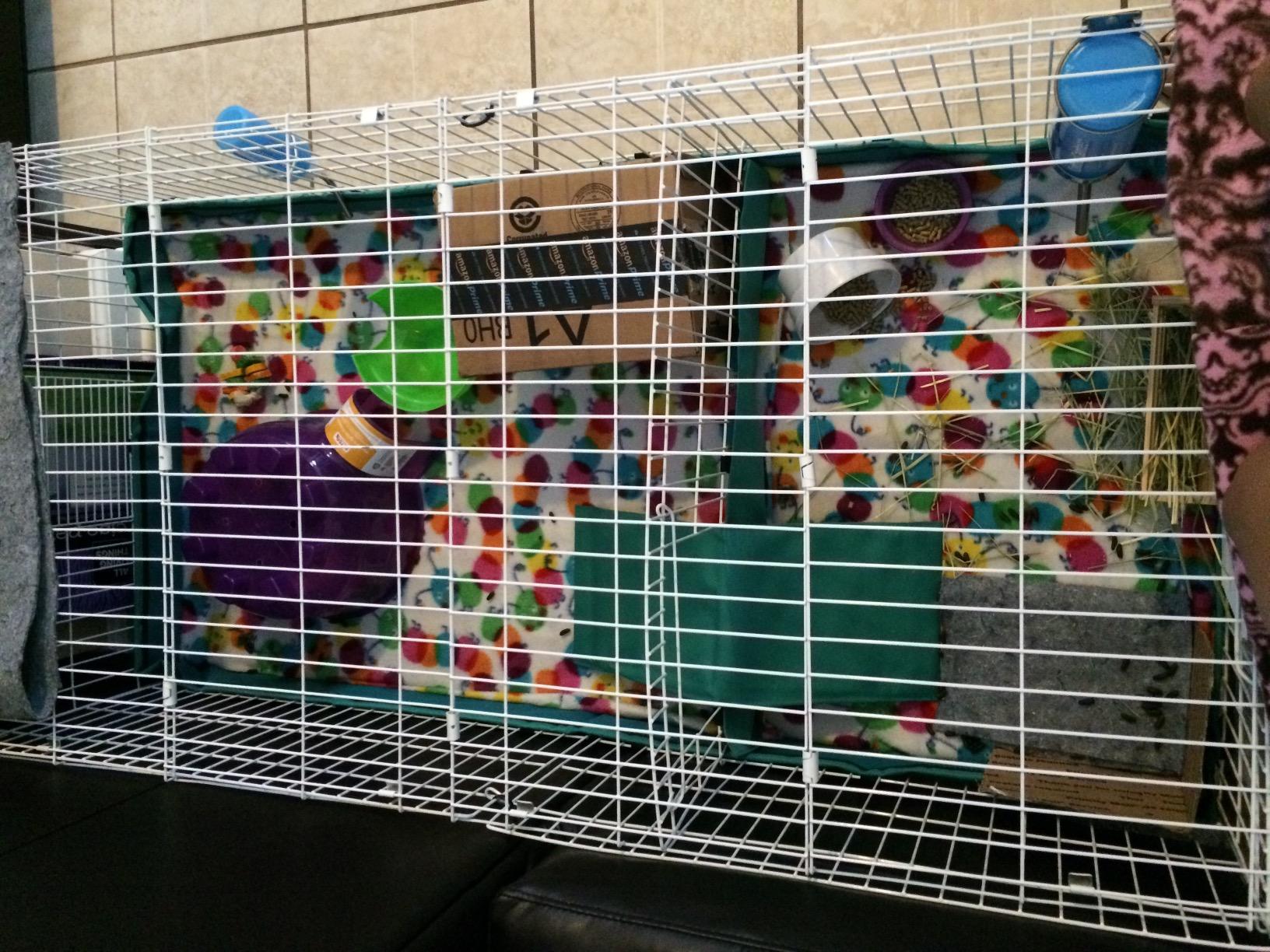 MidWest Homes for Pets Guinea Habitat Plus Cage, Includes Divider Panel and Hinged Top, Washable PVC Canvas Bottom, Expandable Small Animal Cage for Guinea Pigs, 171GHP customer photo 2