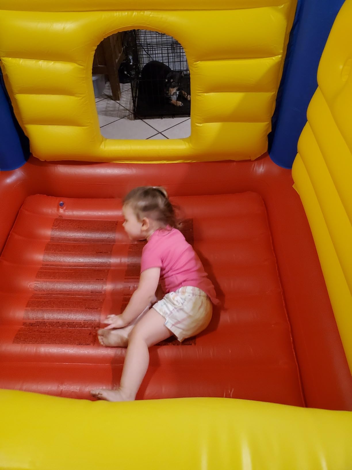 Intex Inflatable Colorful Jump-O-Lene Castle Bounce House, for 2 Kids Ages 3-6 - Large Blow-Up Indoor Outdoor Children's Bouncer Jumper Playhouse customer photo 1