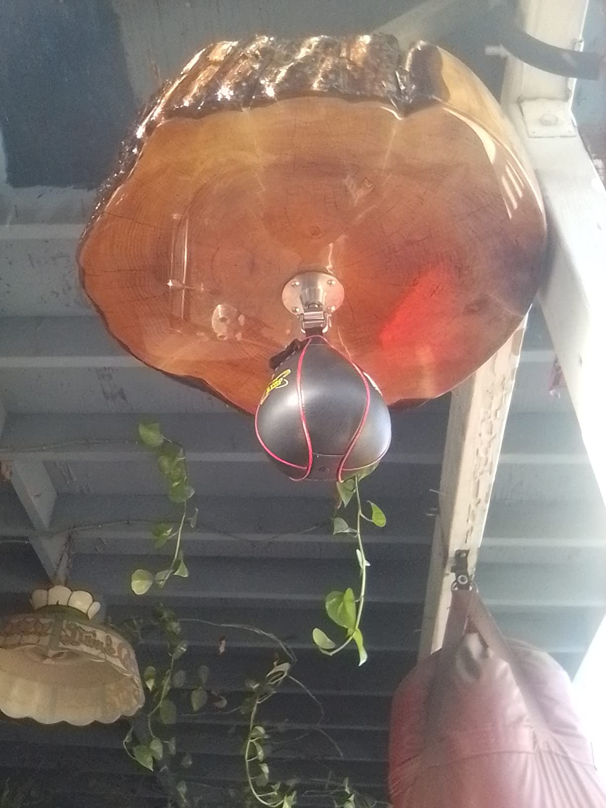 TITLE Boxing Gyro Balanced Leather Speed Bag customer photo 2