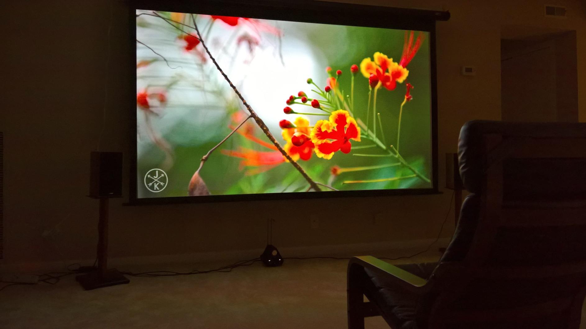 Elite Screens Spectrum 128-Inch Electric Motorized Projector Screen 16:10, 4K/8K UHD, Drop Down Screen for Classroom & Office, IR/RF Remote, Wall/Ceiling Mount, Black Case, ELECTRIC128X2 customer photo 2