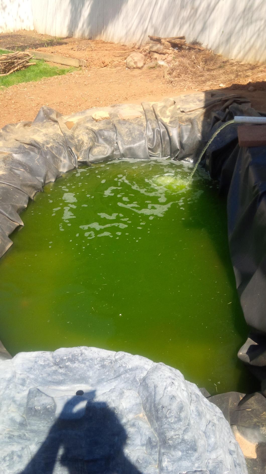 Tetra Pond UVC-18 GreenFree UV Clarifiers, Up To 4400 Gallons, 18-Watt, Green customer photo 2