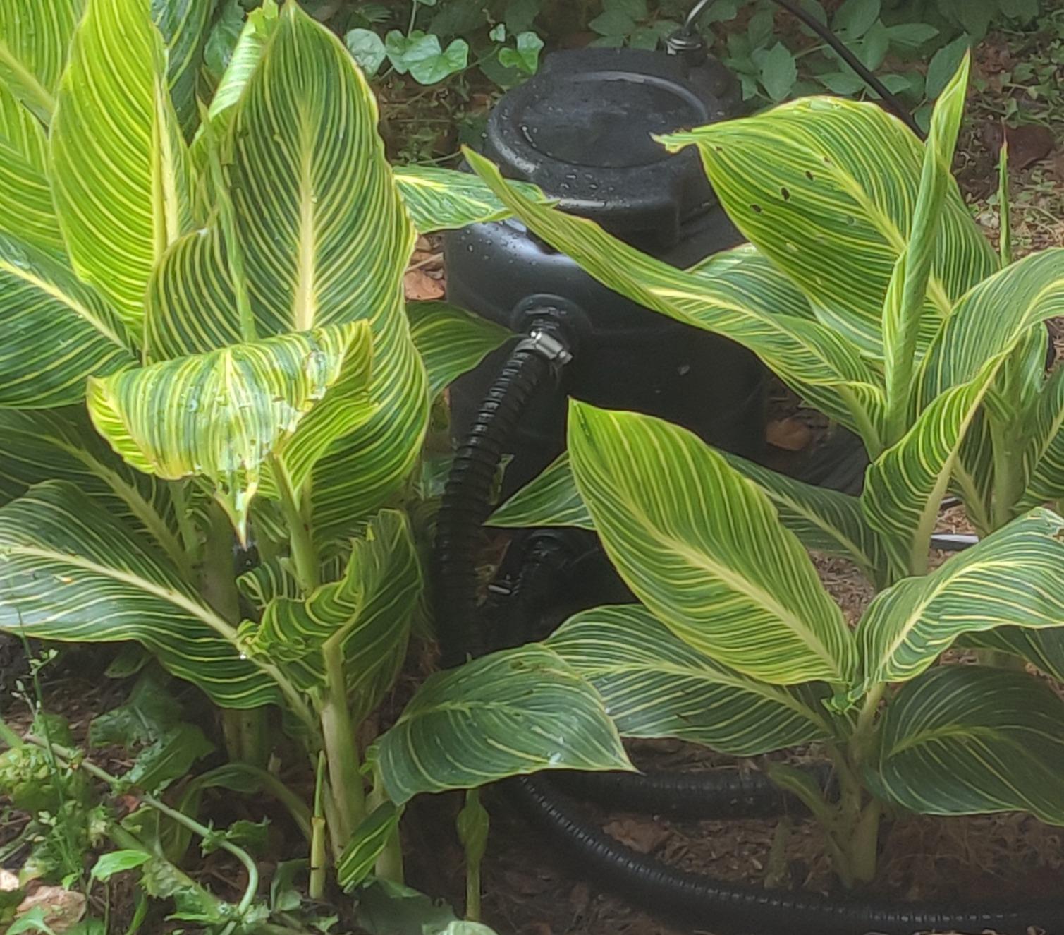 TotalPond Complete Pond Filter with UV Clarifier Black 15.16 x 9.06 x 13.11 in. customer photo 2