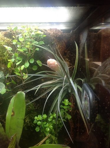 Marineland LED Aquarium Light, Natural Shimmering Light customer photo 2