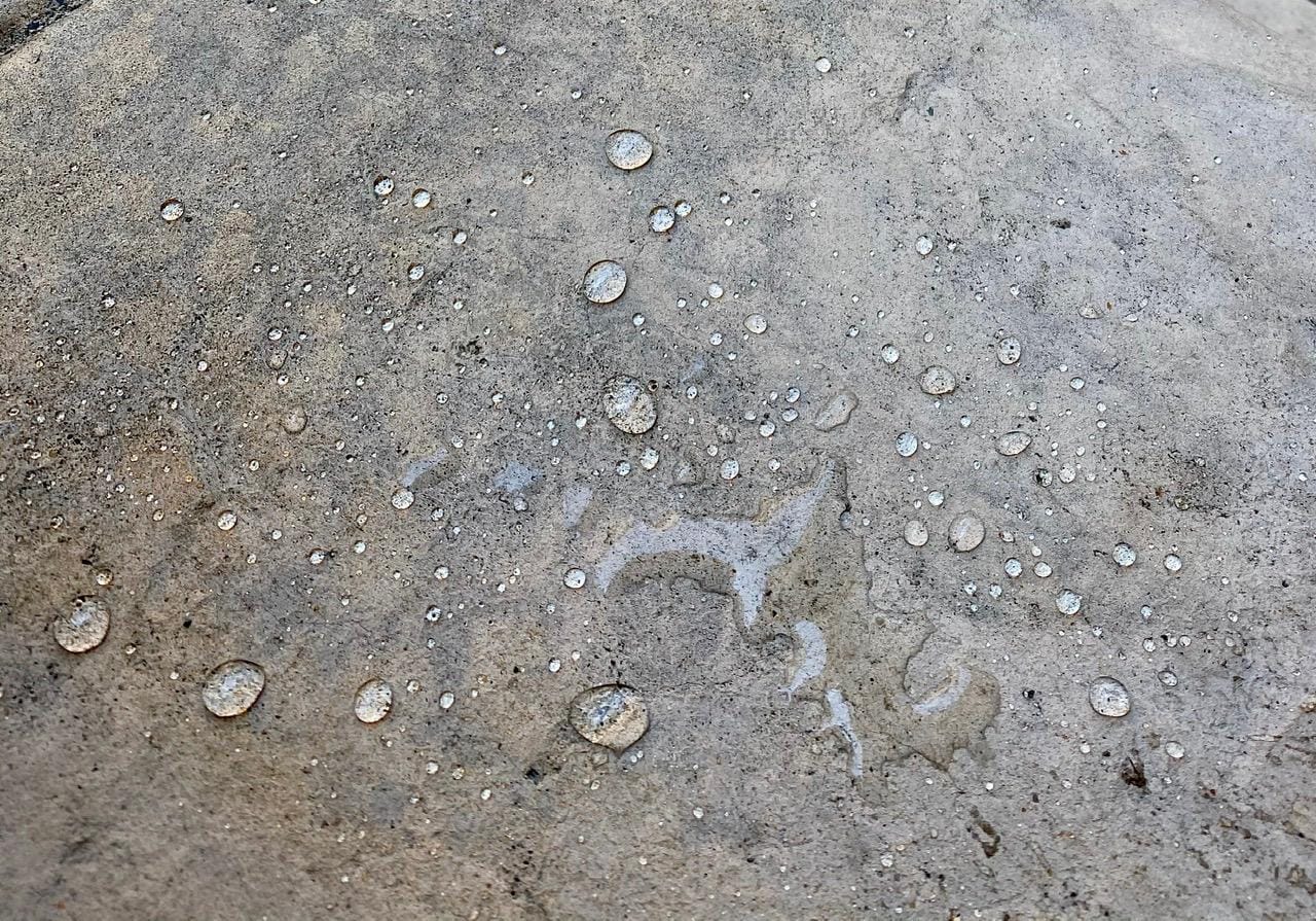 DryWay Silane Siloxane Penetrating Concrete Driveway Sealer, Natural Finish | Breathable Water-Repellent Concrete Sealer for Brick, Pavers, Patios, Pool Decks & Outdoor Concrete - Non-Film Forming customer photo 2
