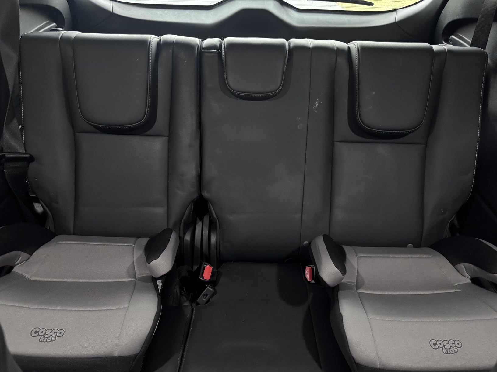 Cosco Topside Backless Booster Car Seat, Lightweight Booster Seats for Cars 40-100 lbs customer photo 2