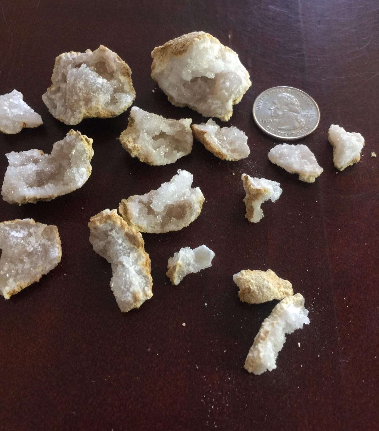 DANCING BEAR Rock, Mineral & Geodes Treasure Hunt Activity Kit (250 Pc Set) Real Shark Teeth Fossils, ID Sheet & Rock Book, STEM customer photo 2