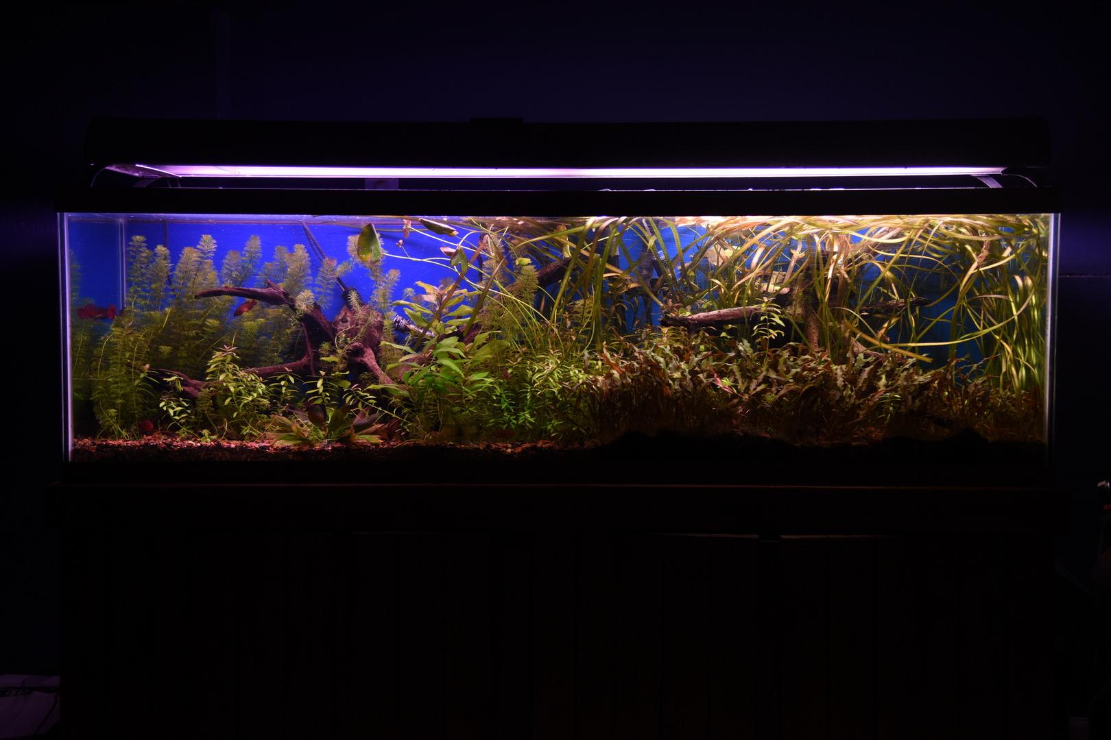 Fluval FX6 High Performance Aquarium Filter, Canister Filter for Aquariums up to 400 Gal. customer photo 2
