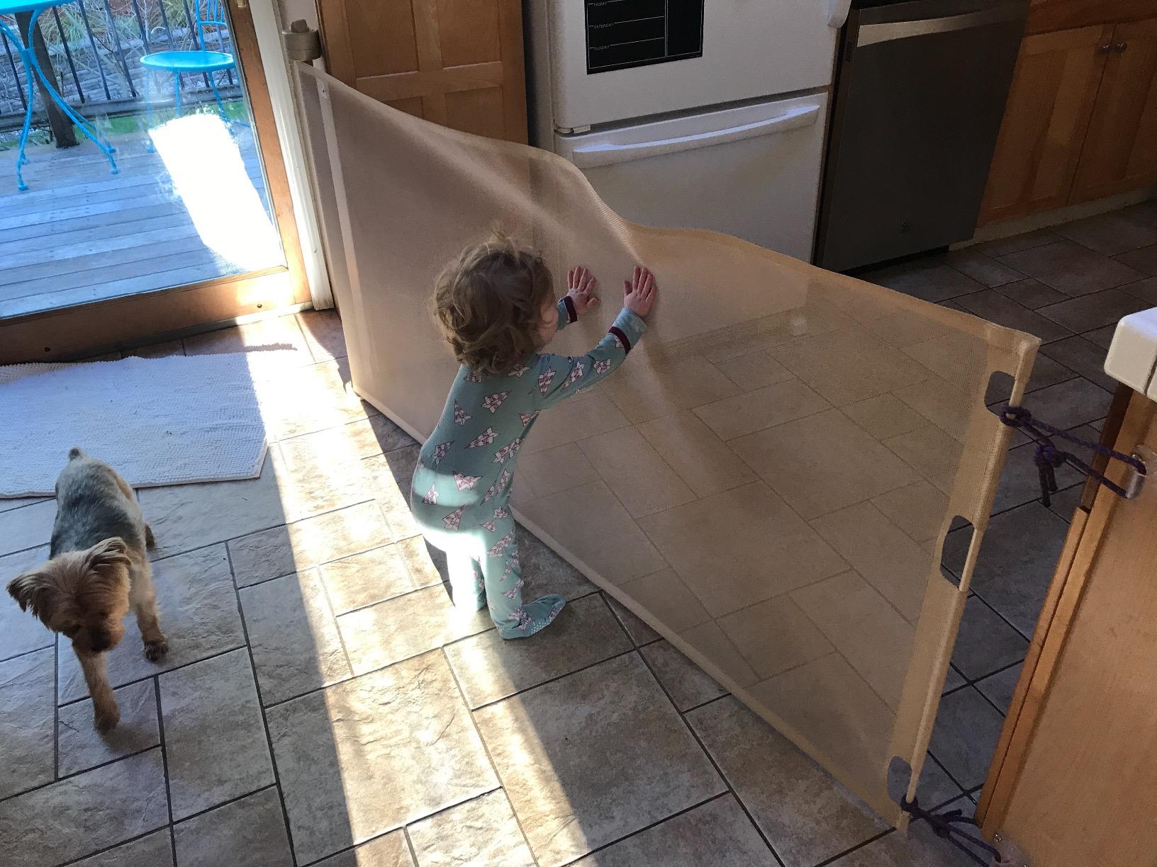 Retract-A-Gate 52 Inch White Retractable Baby and Dog Gate, Made in USA customer photo 1