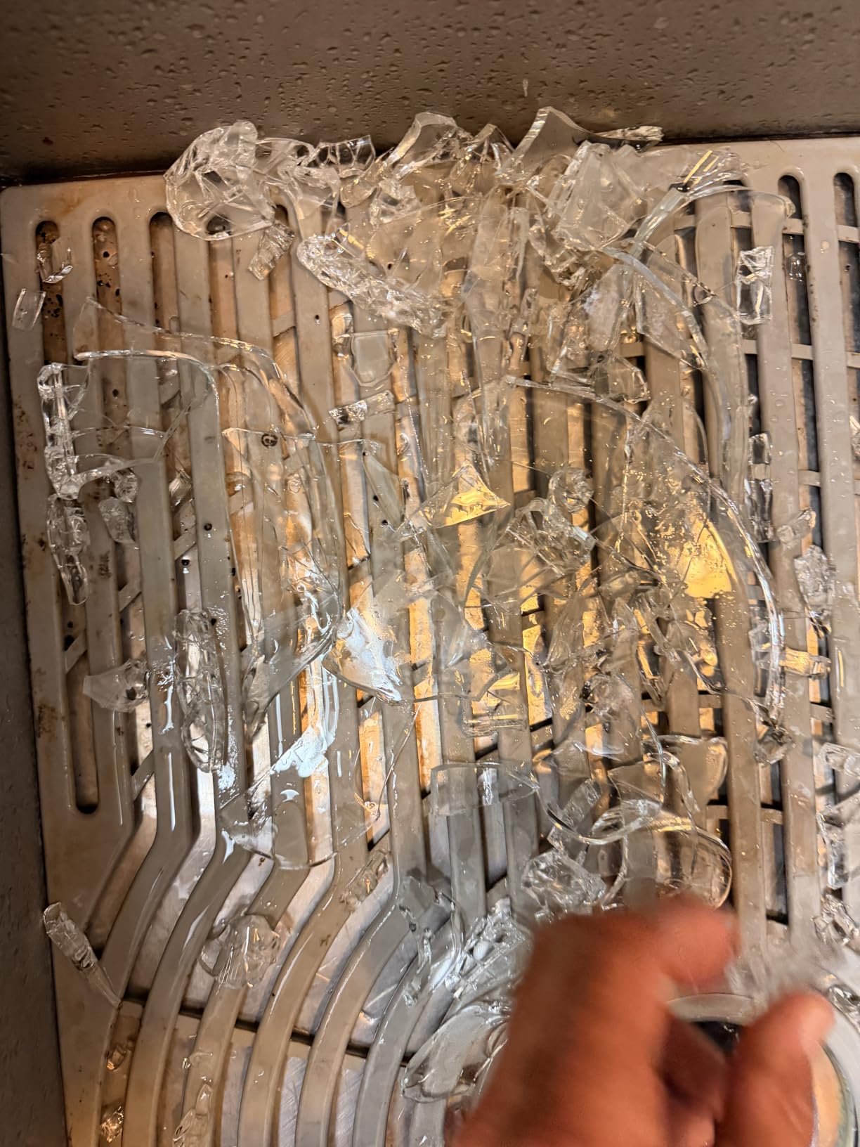 Pyrex C-209 9.5in Fluted Rim Glass Pie Plate - Made in USA | Clear Glass Bakeware | Fluted Rim Design | Even Heat Distribution | Oven Safe | Dishwasher Safe customer photo 1