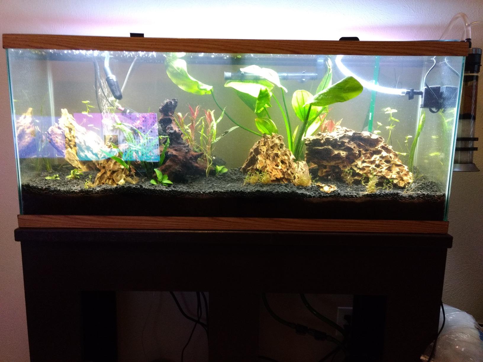 AQUATOP MR-20 Media Reactor - 95 GPH Up-Flow Filtration System - With Pump, Tubing & Mount - For Saltwater or Freshwater Aquariums - Sump or Hang-On Design customer photo 1