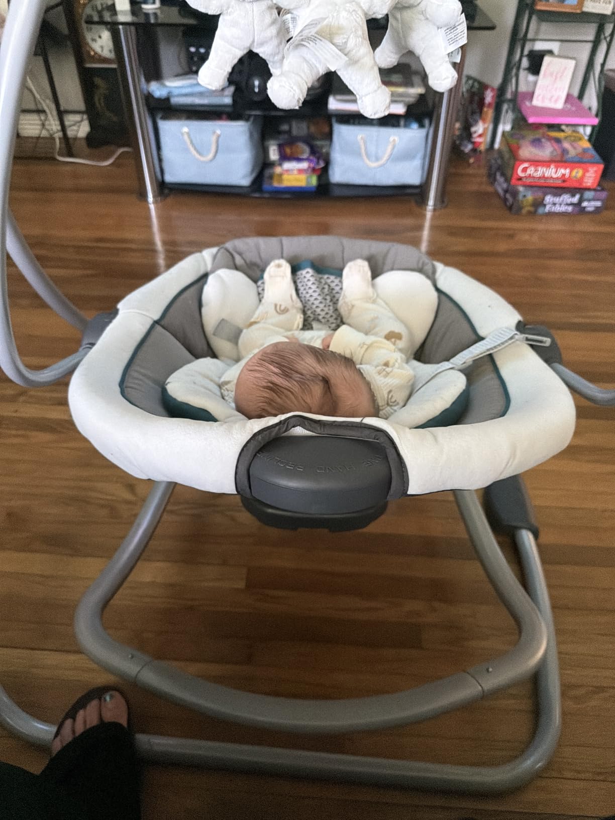 Graco DuetSoothe Swing and Rocker with Removable Swing Seat and 6 Swinging Speeds for Toddler Swing Seat and Swing Chair customer photo 2