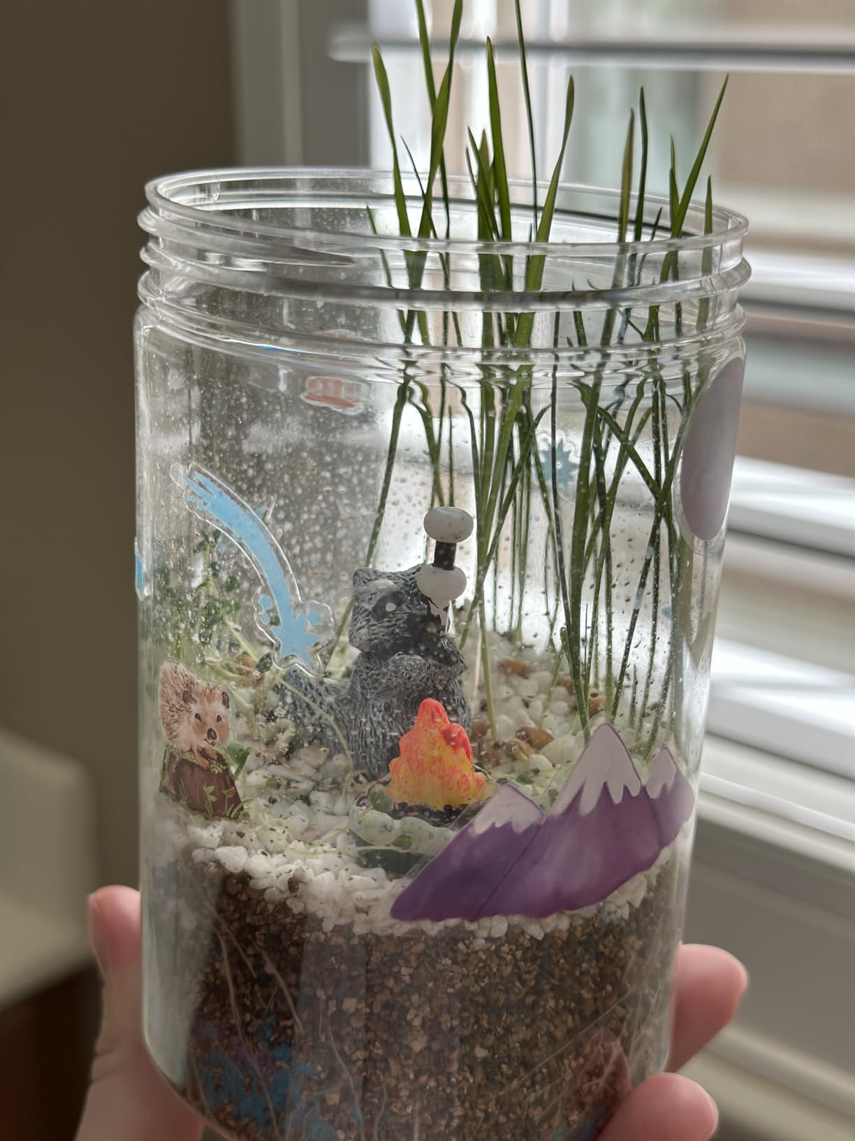 Creativity for Kids Grow 'N Glow Terrarium Kit - Educational Science Kits | Screen Free Summer Fun Activities | Gifts for Boys and Girls | Craft and STEM Projects (Ages 6+) customer photo 1