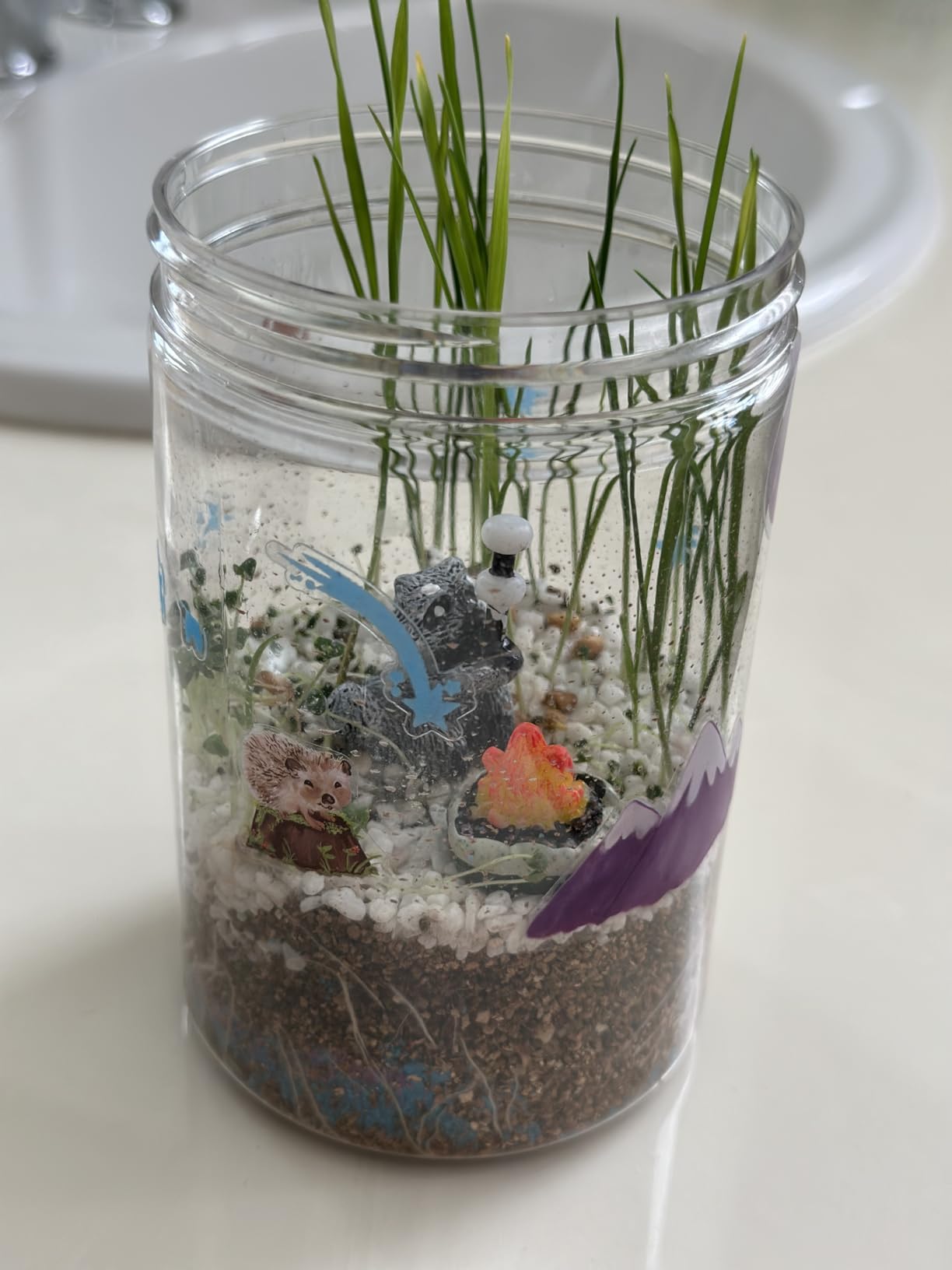 Creativity for Kids Grow 'N Glow Terrarium Kit - Educational Science Kits | Screen Free Summer Fun Activities | Gifts for Boys and Girls | Craft and STEM Projects (Ages 6+) customer photo 2