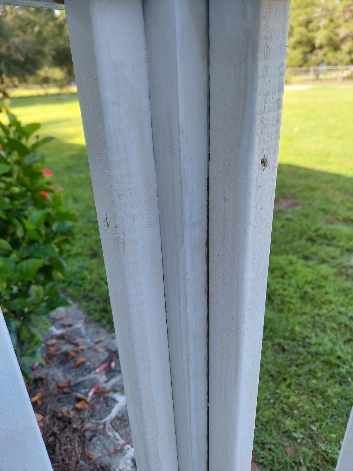 PRESTIGE Exterior Paint and Primer In One, 1-Gallon, Satin, White customer photo 1