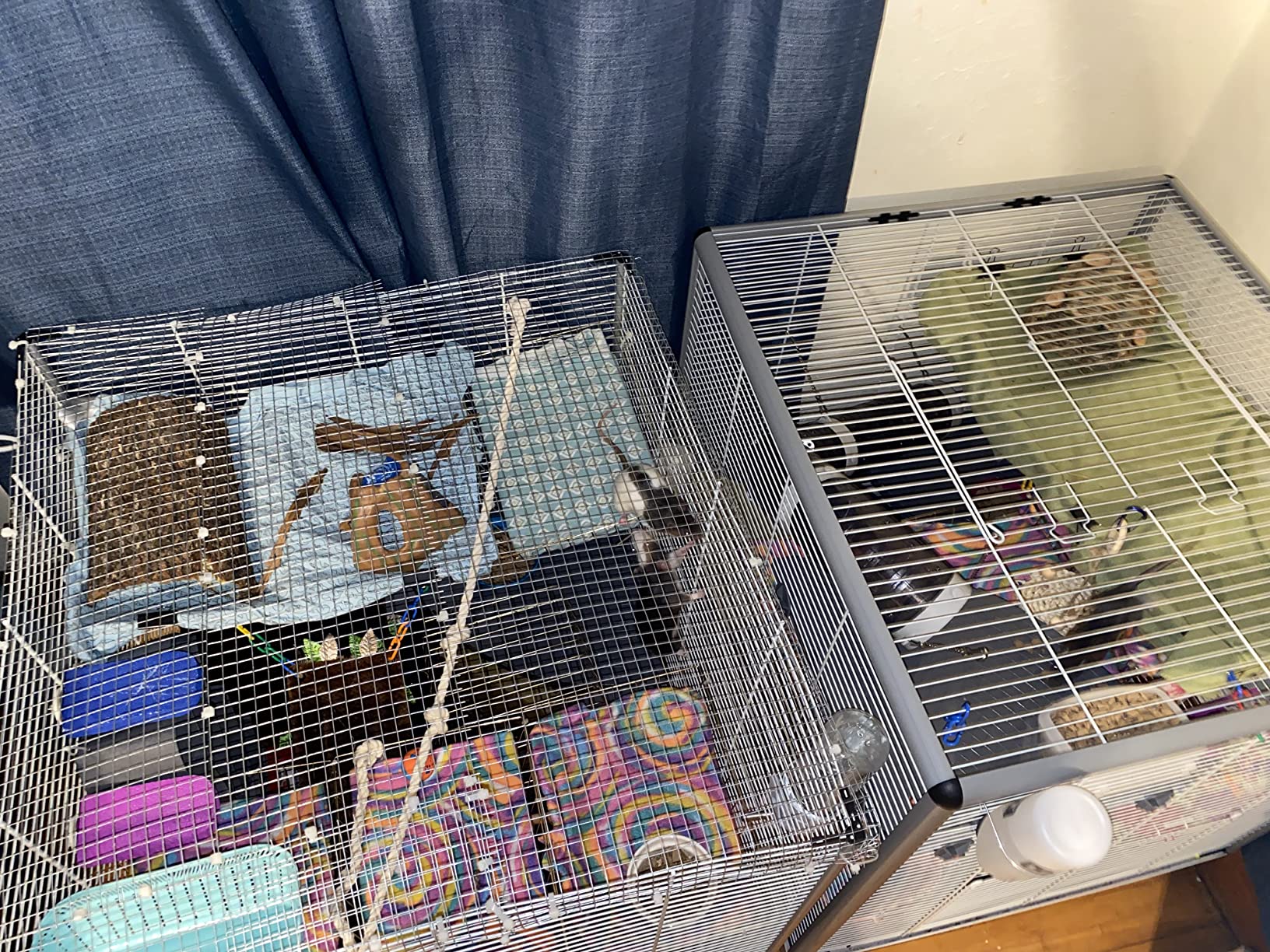 Ferplast Ferret Tower Two-Story Ferret Cage | XXL| Ferret Cage Measures 29.5L x 31.5W x 63.4H - Inches customer photo 1