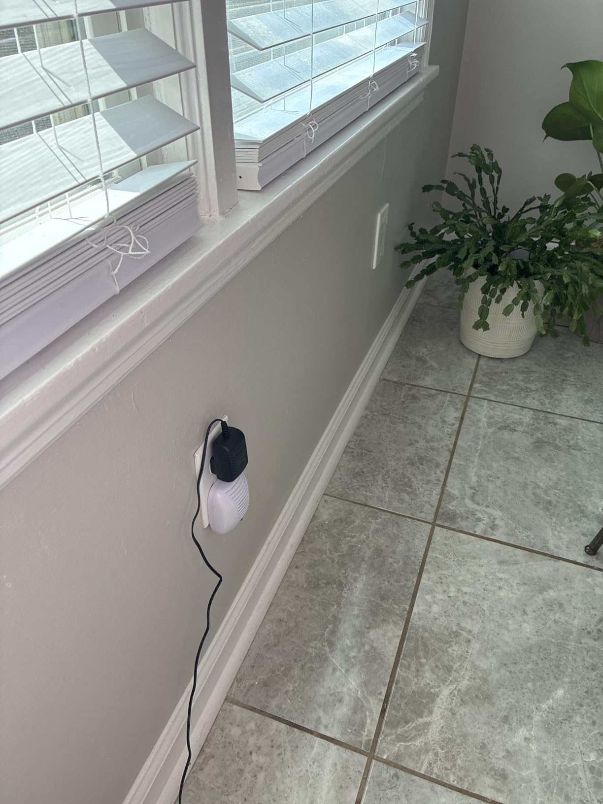 The Bell and Howell Ultrasonic Pest Repeller plug in device Complete Kit 6 Pack, Effectively Aids to repel mice, bugs, Rats, Rodents, Mosquitos, roaches, Spiders and Ants Chemical, odor and sound free customer photo 2
