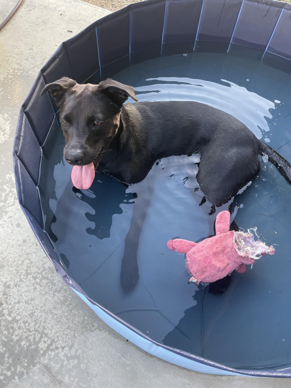 Jasonwell Foldable Dog Pet Bath Pool Collapsible Dog Pet Pool Bathing Tub Kiddie Pool Doggie Wading Pool for Puppy Small Medium Large Dogs Cats and Kids 48