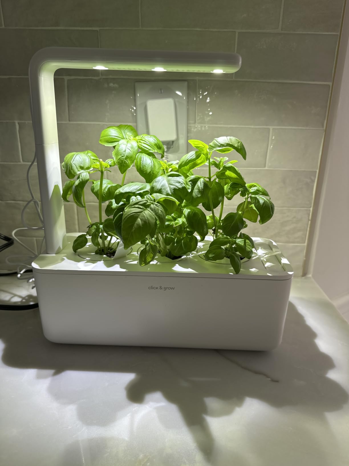 Click & Grow Indoor Herb Garden Kit with Grow Light | Smart Garden for Home Kitchen Windowsill (3 Basil Pods Included), White customer photo 1