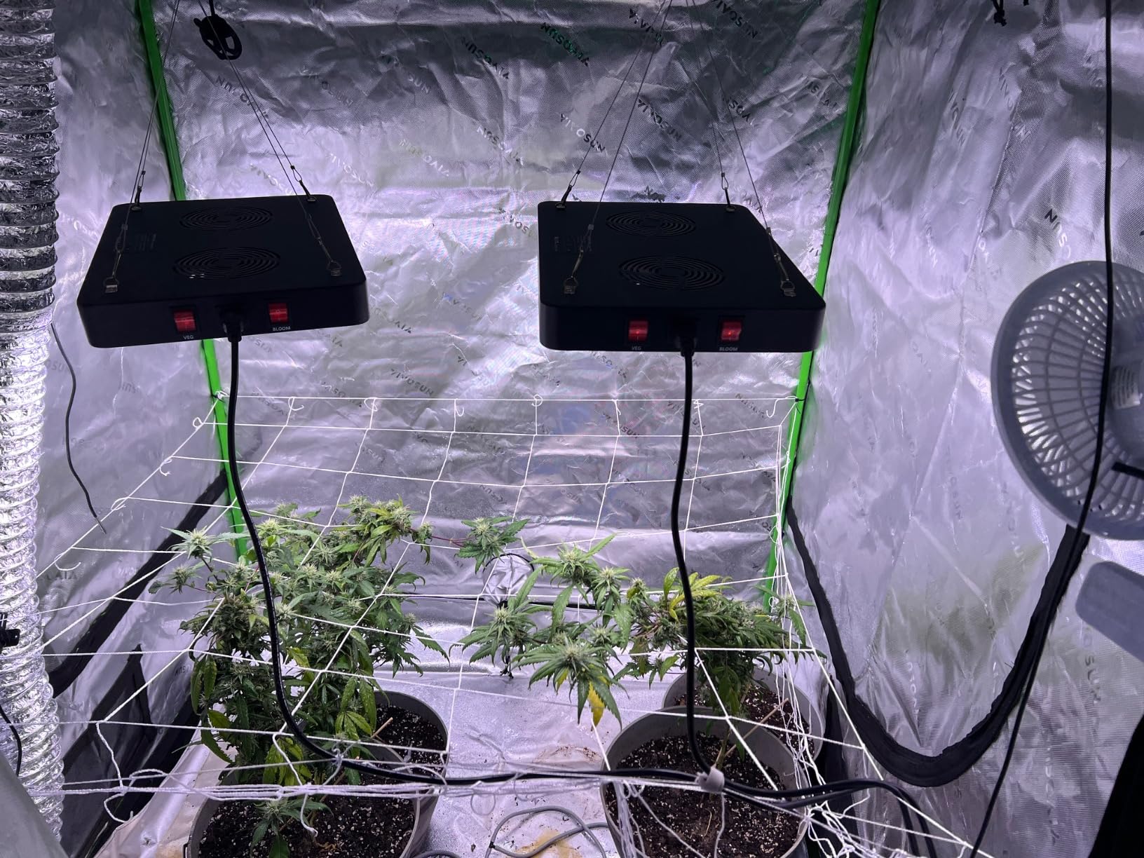 BESTVA DC2000 LED Grow Light, Full Spectrum Grow Lights for Indoor Plants with Veg & Bloom Switches, Quiet Cooling Fan, for Seedling Veg Bloom All Growth Stages | 200W LED Plants Light with Veg & Bloom Mode for Indoor Plants Growing, Hanging Plants Lamps Fits for Grow Tent, Greenhouse customer photo 2
