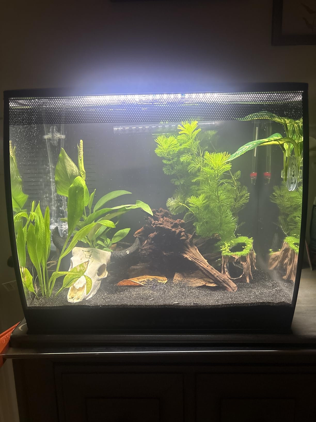 Hagen Flex Freshwater Kit - Black - 15 gal customer photo 1