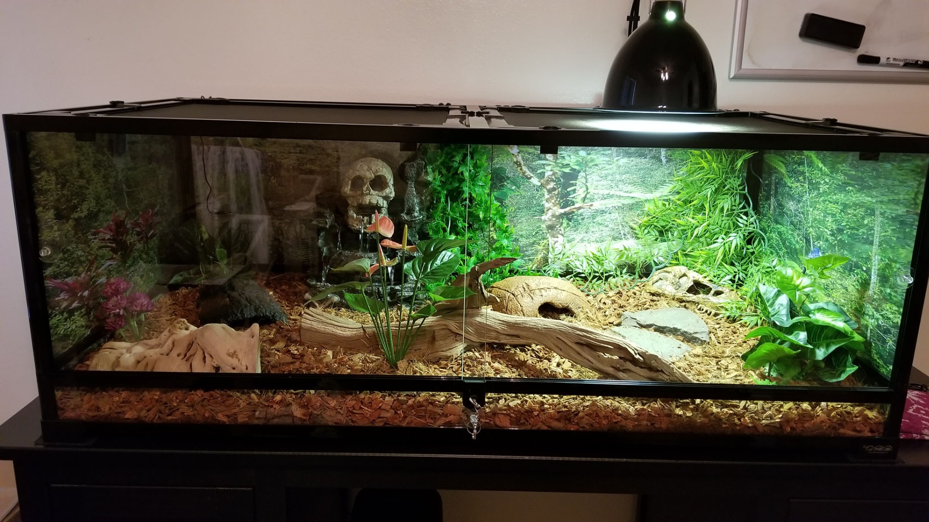Carolina Custom Cages, 36Lx18Wx18H Large Terrarium; Easy Assembly customer photo 1