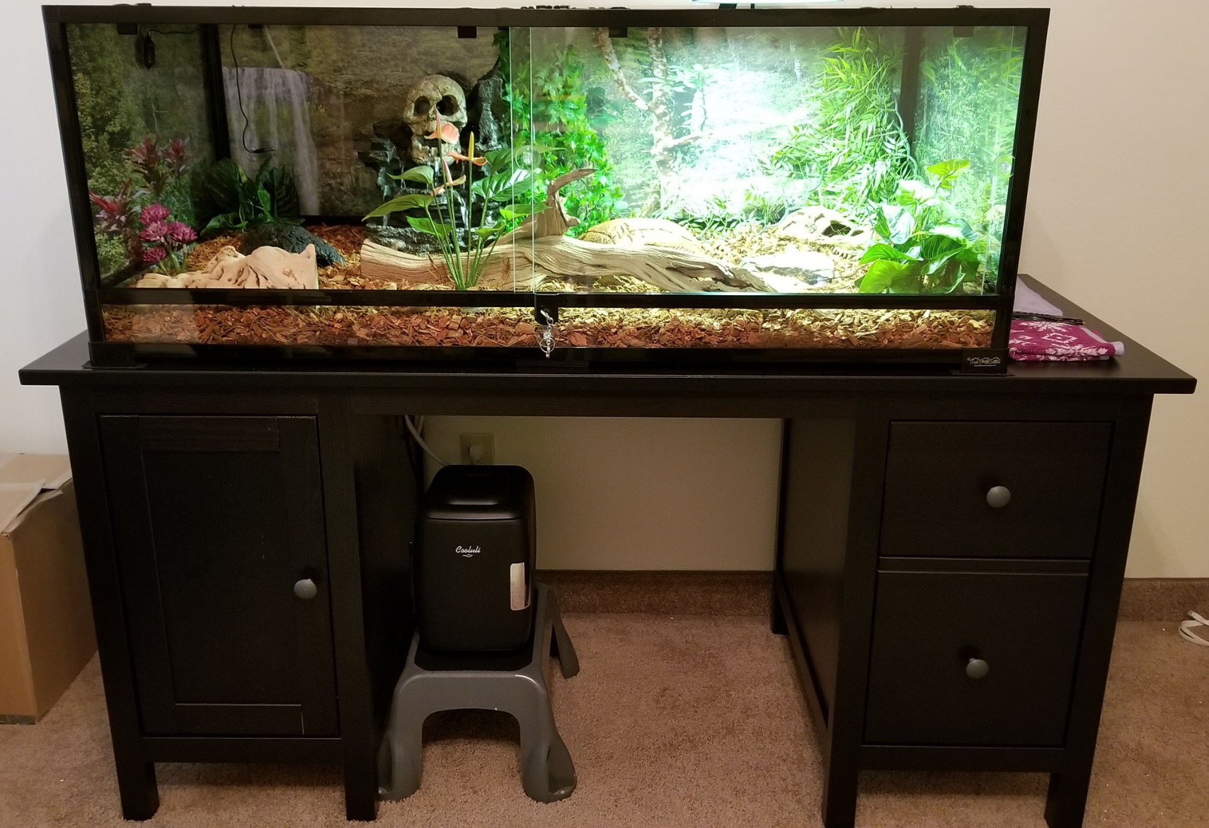 Carolina Custom Cages, 36Lx18Wx18H Large Terrarium; Easy Assembly customer photo 2