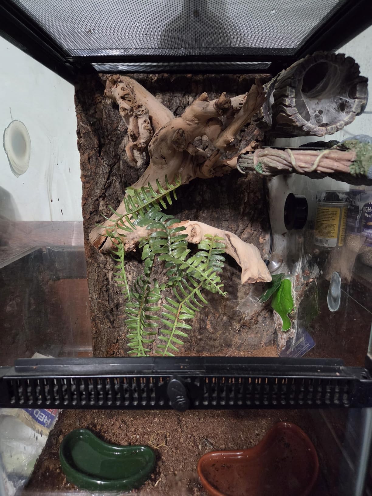 Zilla 11 Gallon Glass Tropical Vertical Habitat Starter Kit for Small Tree Dwelling Reptiles & Amphibians customer photo 1