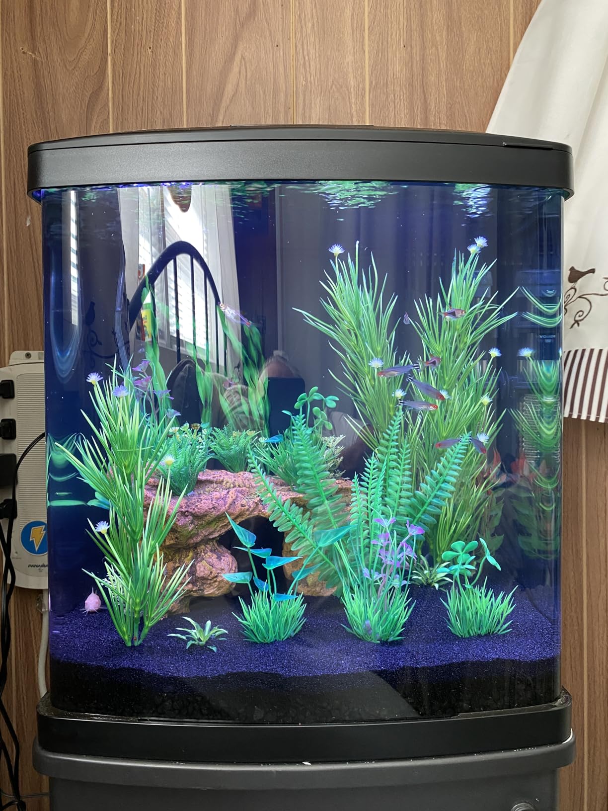 Coralife BioCube, Aquarium Kit, Nano Tank, Customizable LED Lighting, 16 Gallons customer photo 1