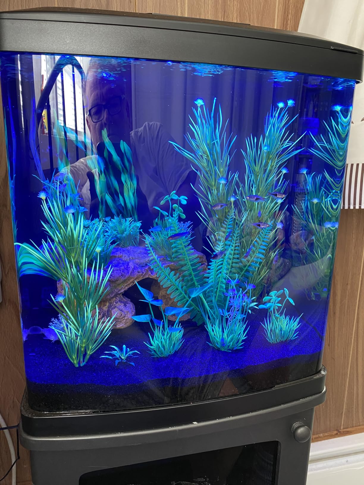 Coralife BioCube, Aquarium Kit, Nano Tank, Customizable LED Lighting, 16 Gallons customer photo 2