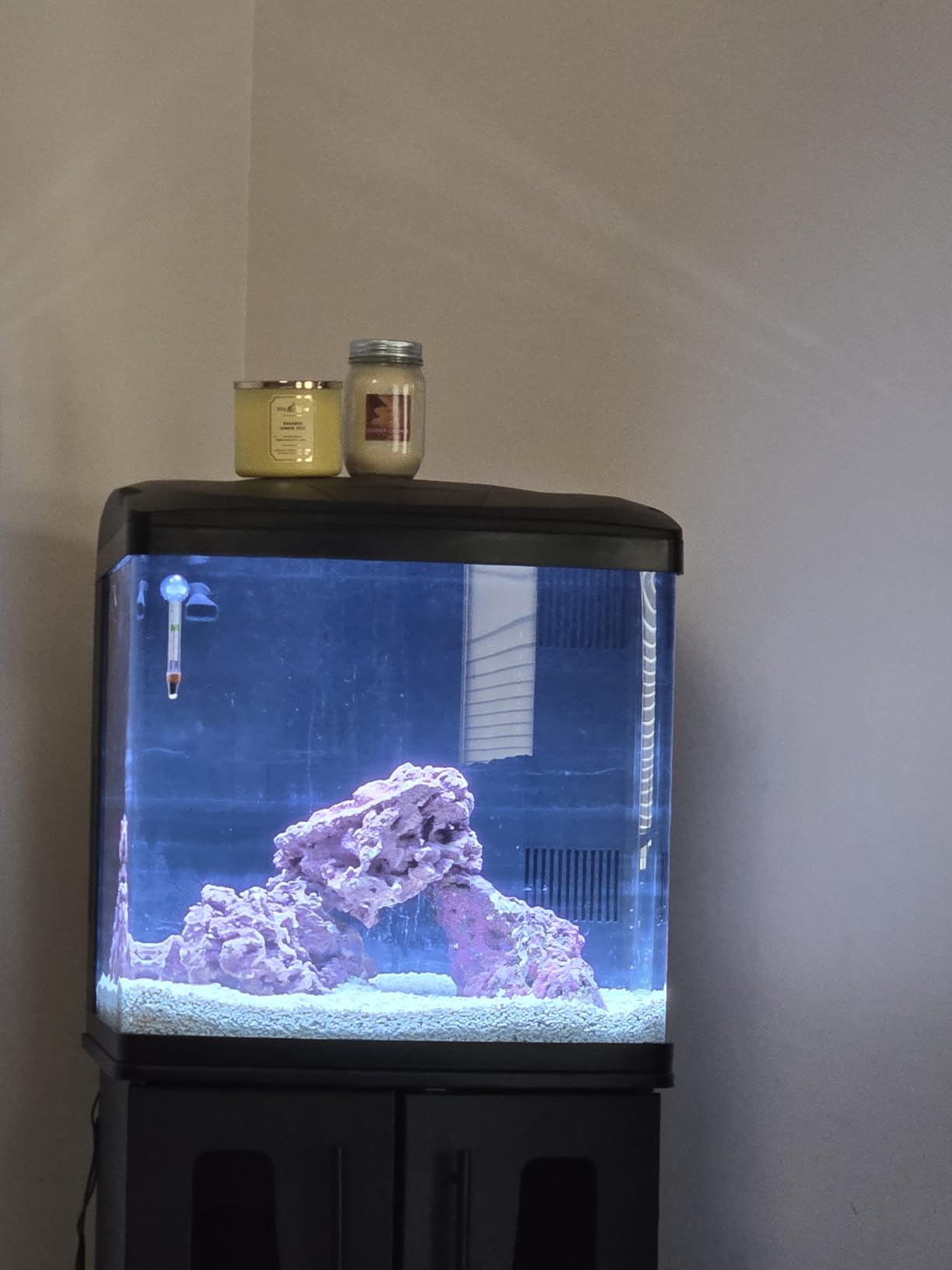Coralife BioCube, Aquarium Kit, Integrated 24-hour Timer, Customizable LED Lighting, for Saltwater and Freshwater Environments, 32 Gallon customer photo 2