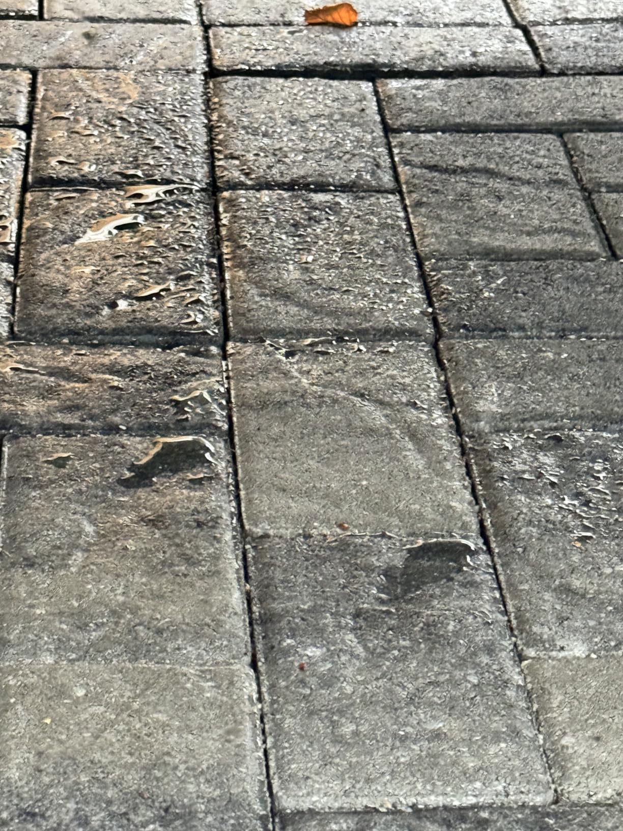 Rain Guard Concrete Sealer 1 Gallon | Ready to Use | Natural Finish | Deep Penetrating Protection Against Water and Salt Damage for All Concrete Surfaces customer photo 1
