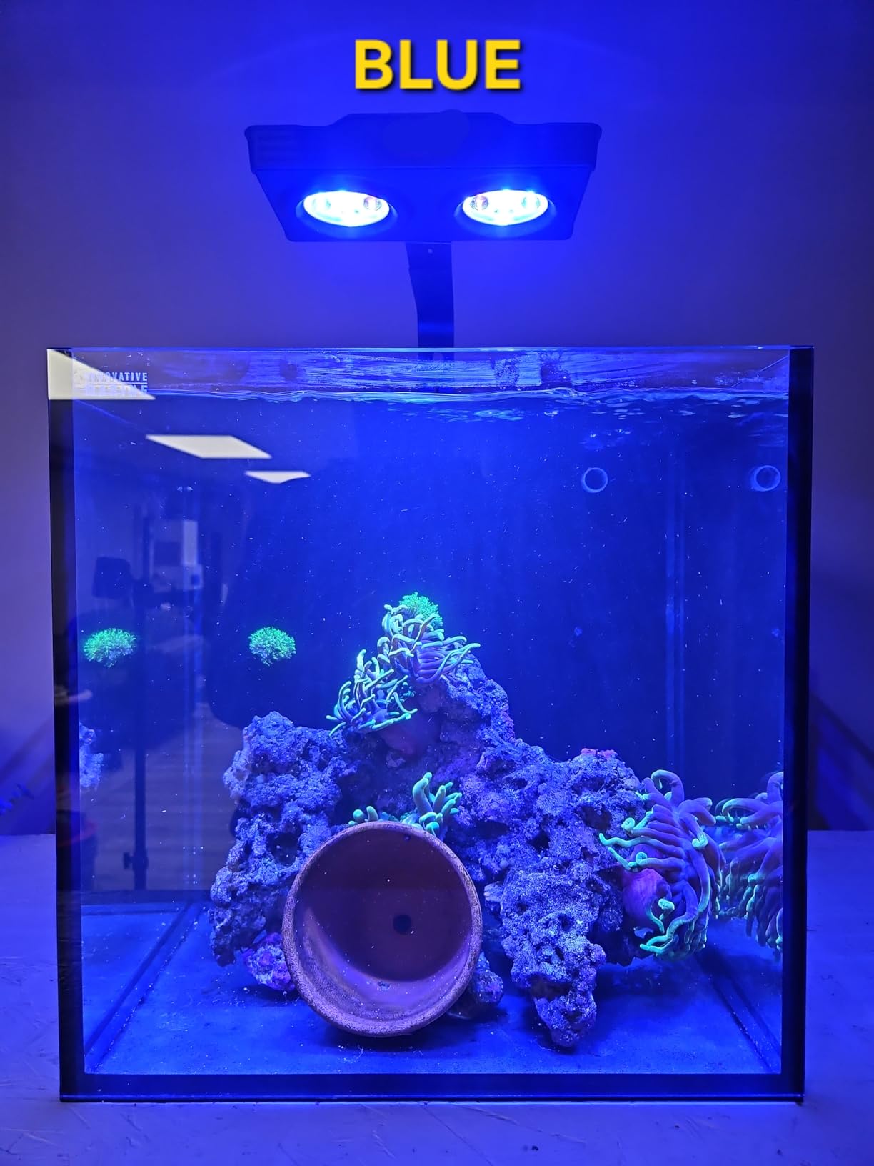 Aquarium Light AquaKnight A029 Aquarium LED Light 30 Watts Saltwater Light with Sunrise Sunset Moonlight, 5W LED Chips for Coral Reef Nano Fish Tank Marine Tanks with Timer & Screen customer photo 1