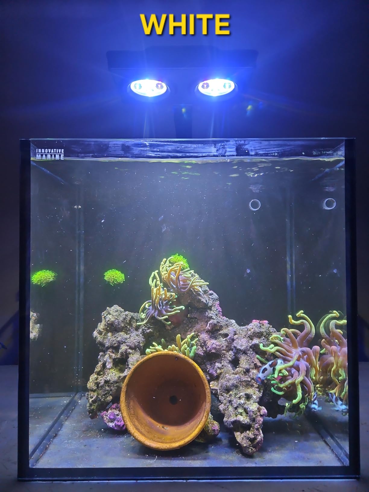Aquarium Light AquaKnight A029 Aquarium LED Light 30 Watts Saltwater Light with Sunrise Sunset Moonlight, 5W LED Chips for Coral Reef Nano Fish Tank Marine Tanks with Timer & Screen customer photo 2