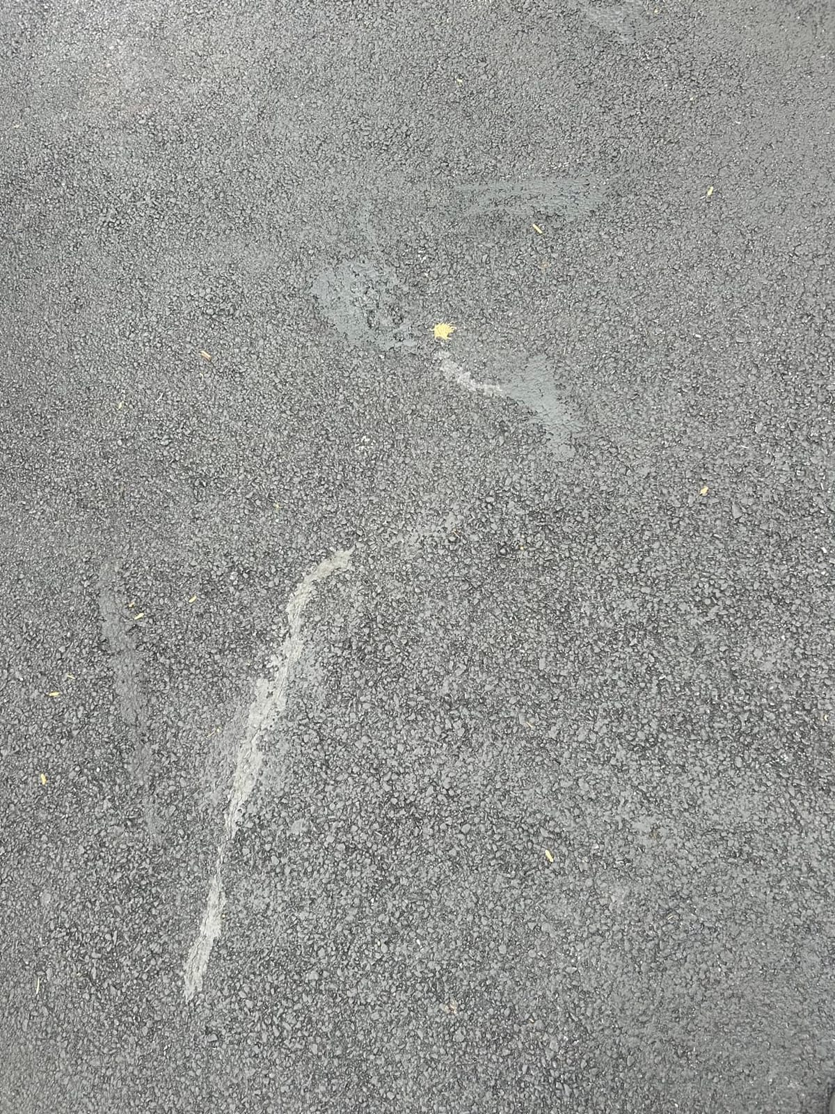 Bluestar Flexible Asphalt Crack Filler, DIY - No Special Tools Needed, Fill Cracks in Asphalt Driveways and Parking Lots. 16 fl. oz. Bottle. customer photo 2
