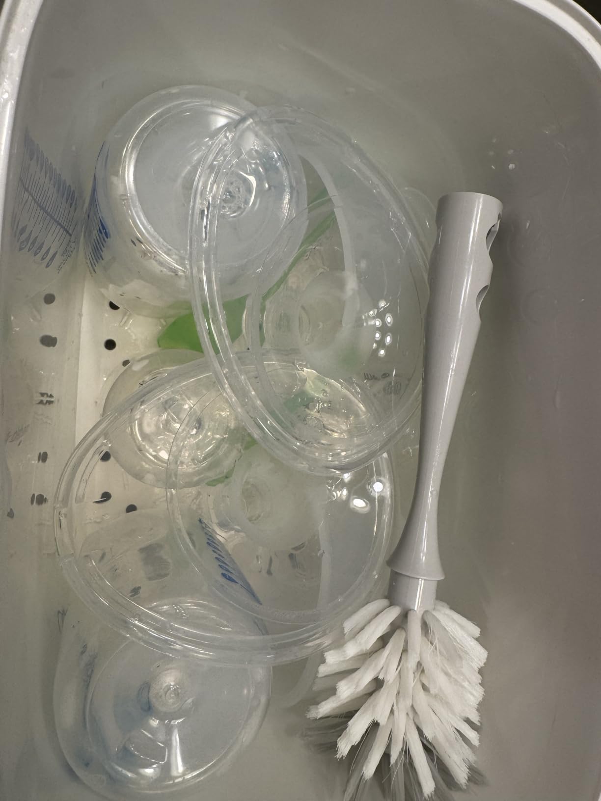 Papablic Baby Bottle Sterilizer and Dryer Pro, 10 Bottles Large Capacity customer photo 2